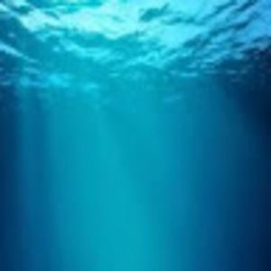 Meet your Posher, Rita